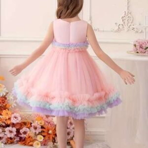 baesd girls ruffled net fit flare dress